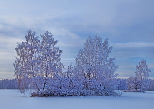 294532 (a): :2720x1920